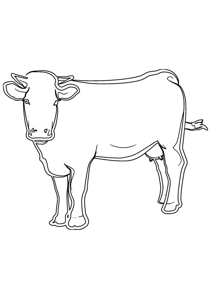 Cow Coloring Pages for Kids Printable 17