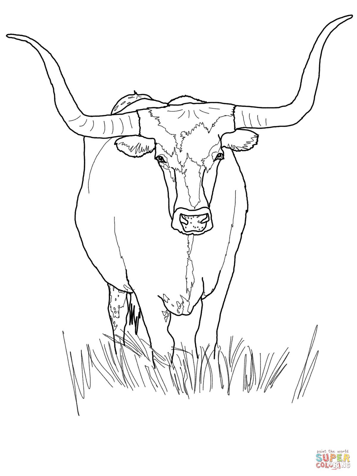 Cow Coloring Pages for Kids Printable 21