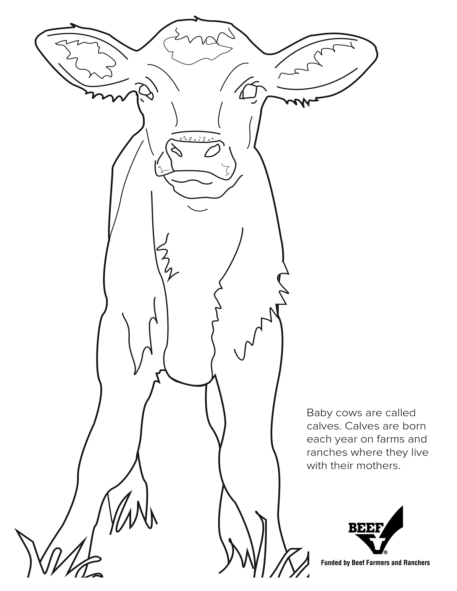 Cow Coloring Pages for Kids Printable 3