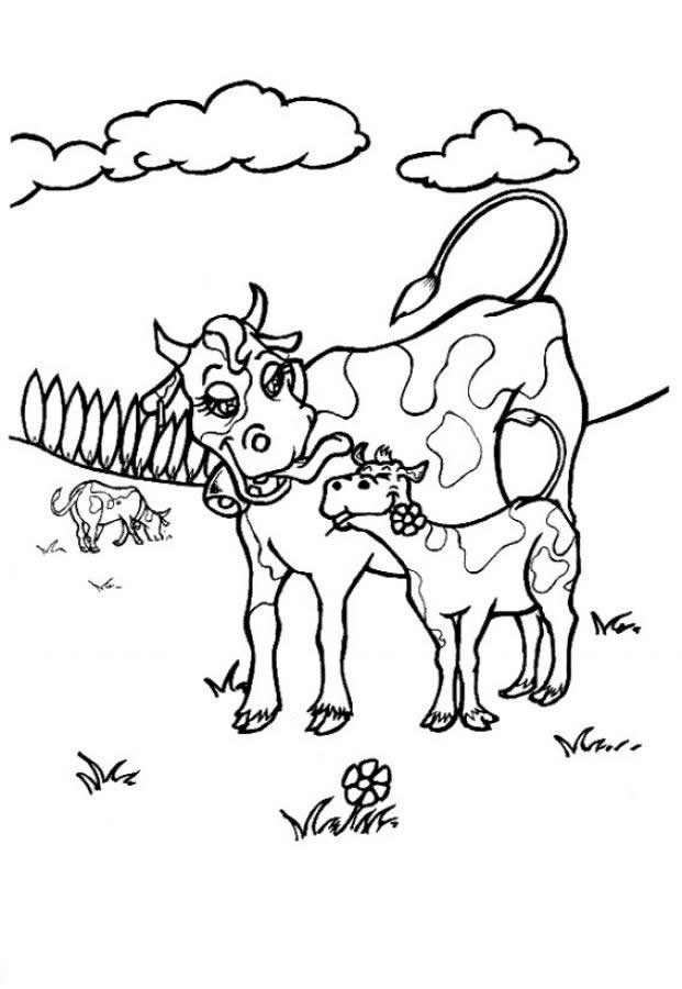 Cow Coloring Pages for Kids Printable 35