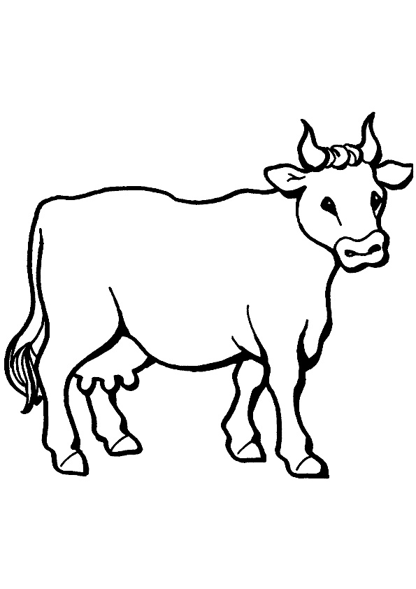 Cow Coloring Pages for Kids Printable 36