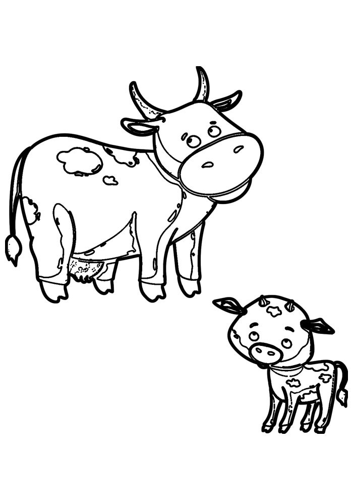 Cow Coloring Pages for Kids Printable 58