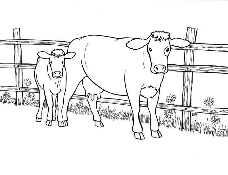 Cow Coloring Pages for Kids Printable 61