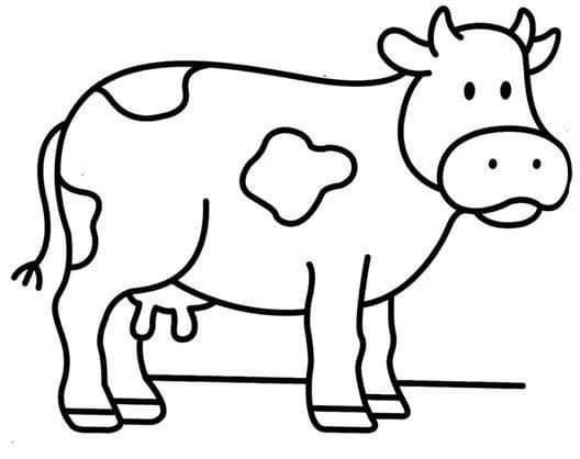 Cow Coloring Pages for Kids Printable 69