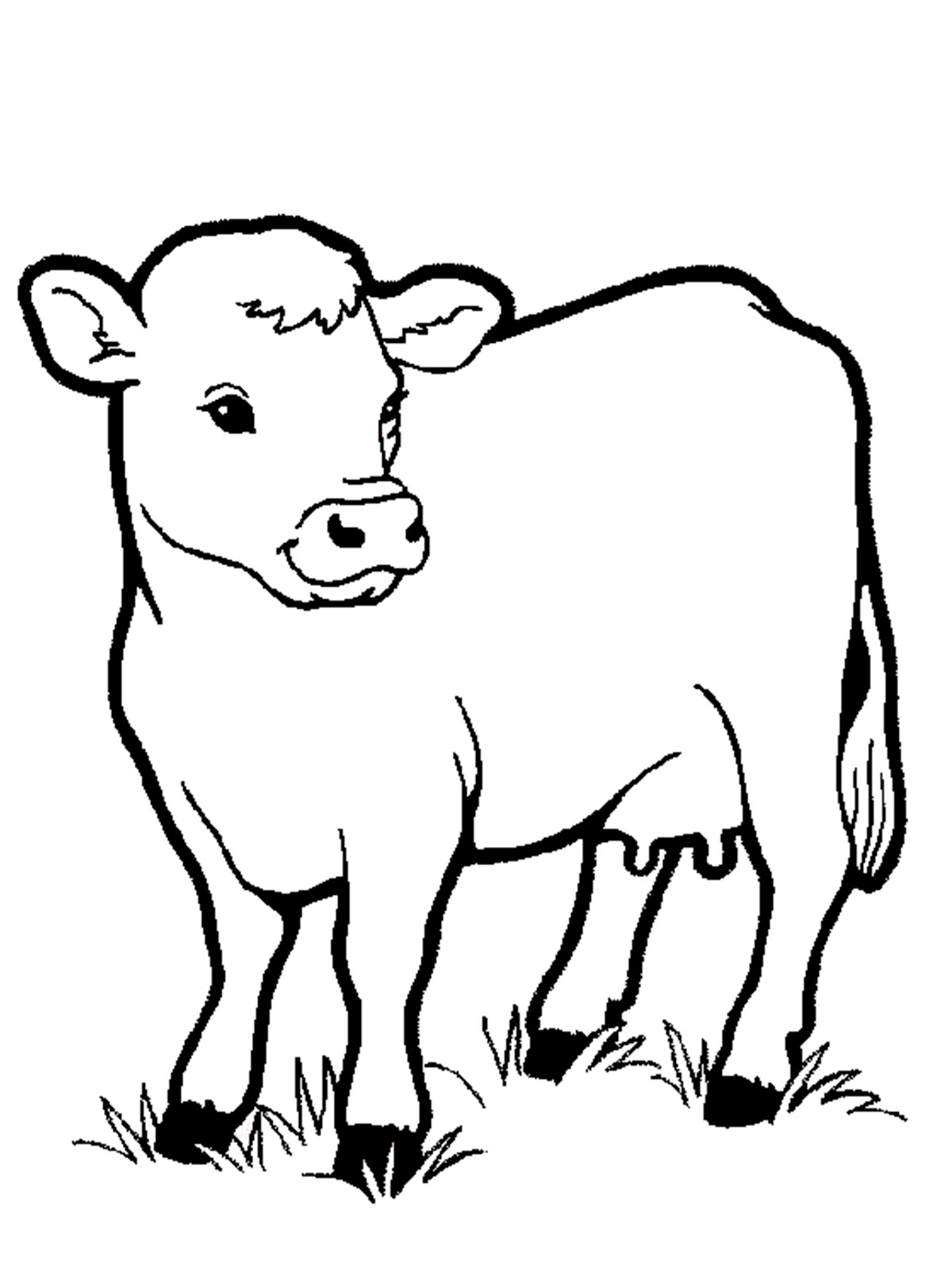 Cow Coloring Pages for Kids Printable 70