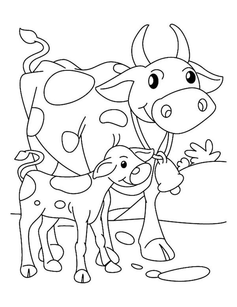 Cow Coloring Pages for Kids Printable 77