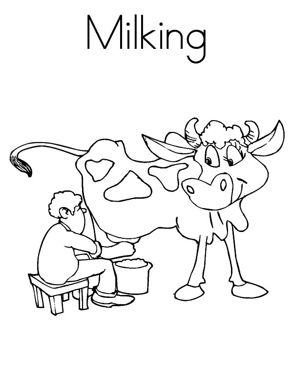 Cow Coloring Pages for Kids Printable 8