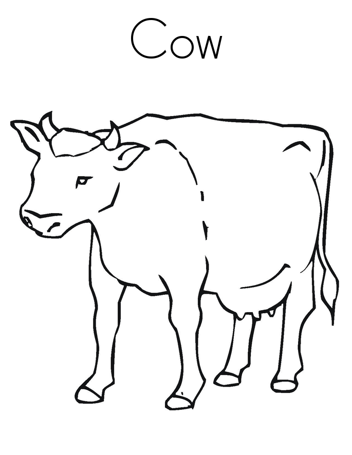 Cow Coloring Pages for Kids Printable 85