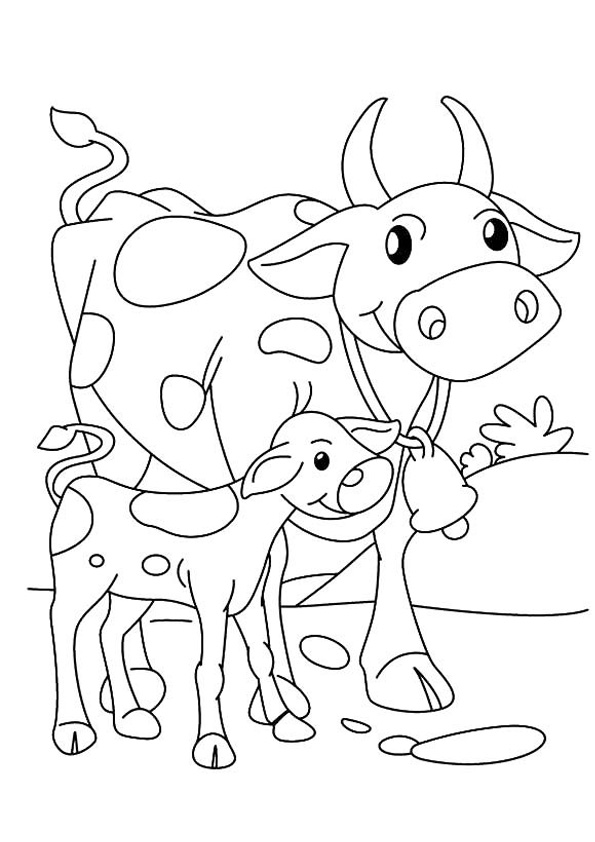 Cow Coloring Pages for Kids Printable 88