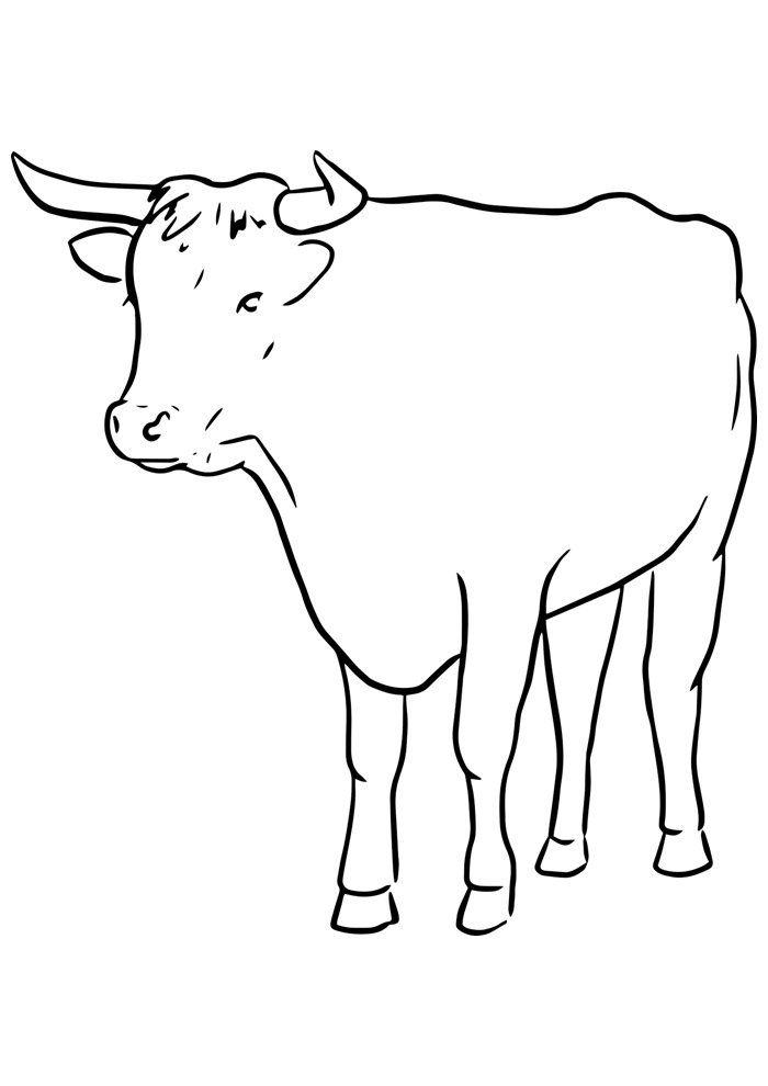 Cow Coloring Pages for Kids Printable 9