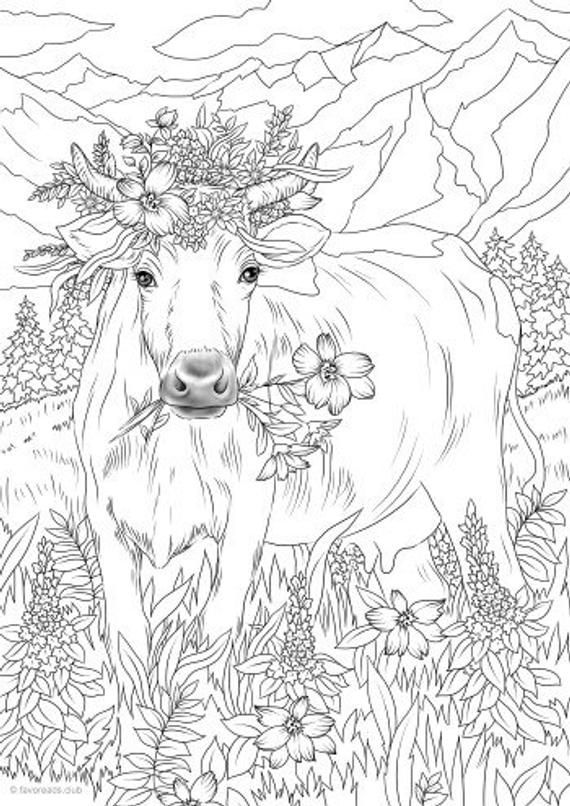 Cow Coloring Pages for Kids Printable 91