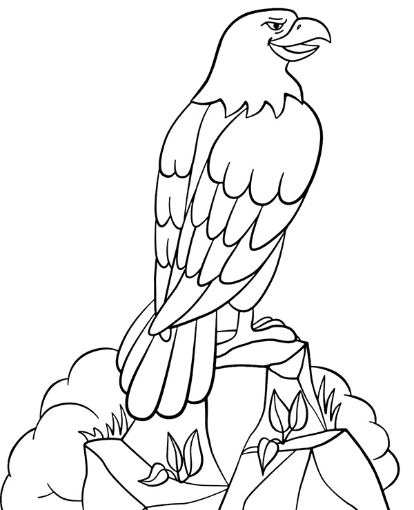 Eagle Coloring Page Printable # 109