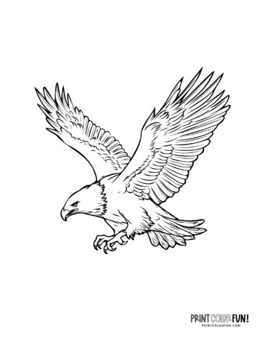 Eagle Coloring Page Printable # 110