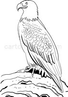 Eagle Coloring Page Printable # 115