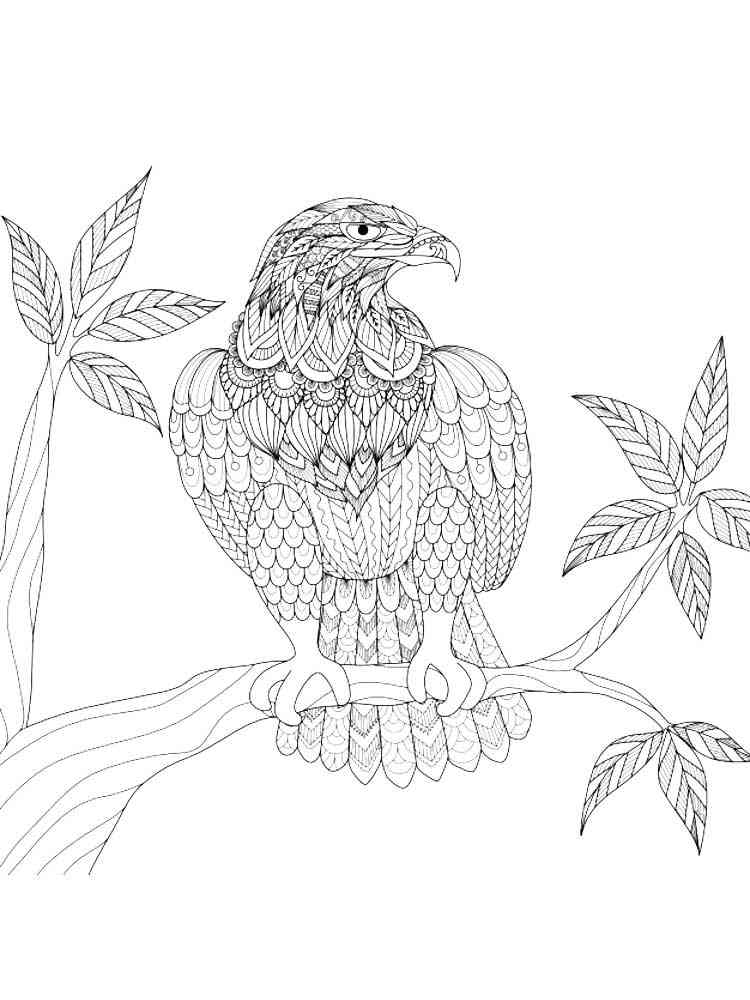 Eagle Coloring Page Printable # 116