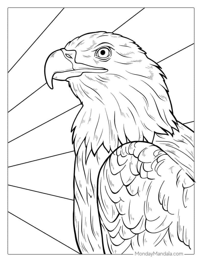 Eagle Coloring Page Printable # 118