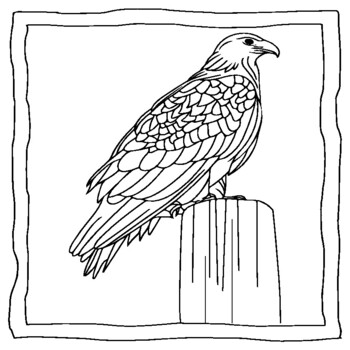 Eagle Coloring Page Printable # 120