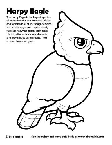 Eagle Coloring Page Printable # 134