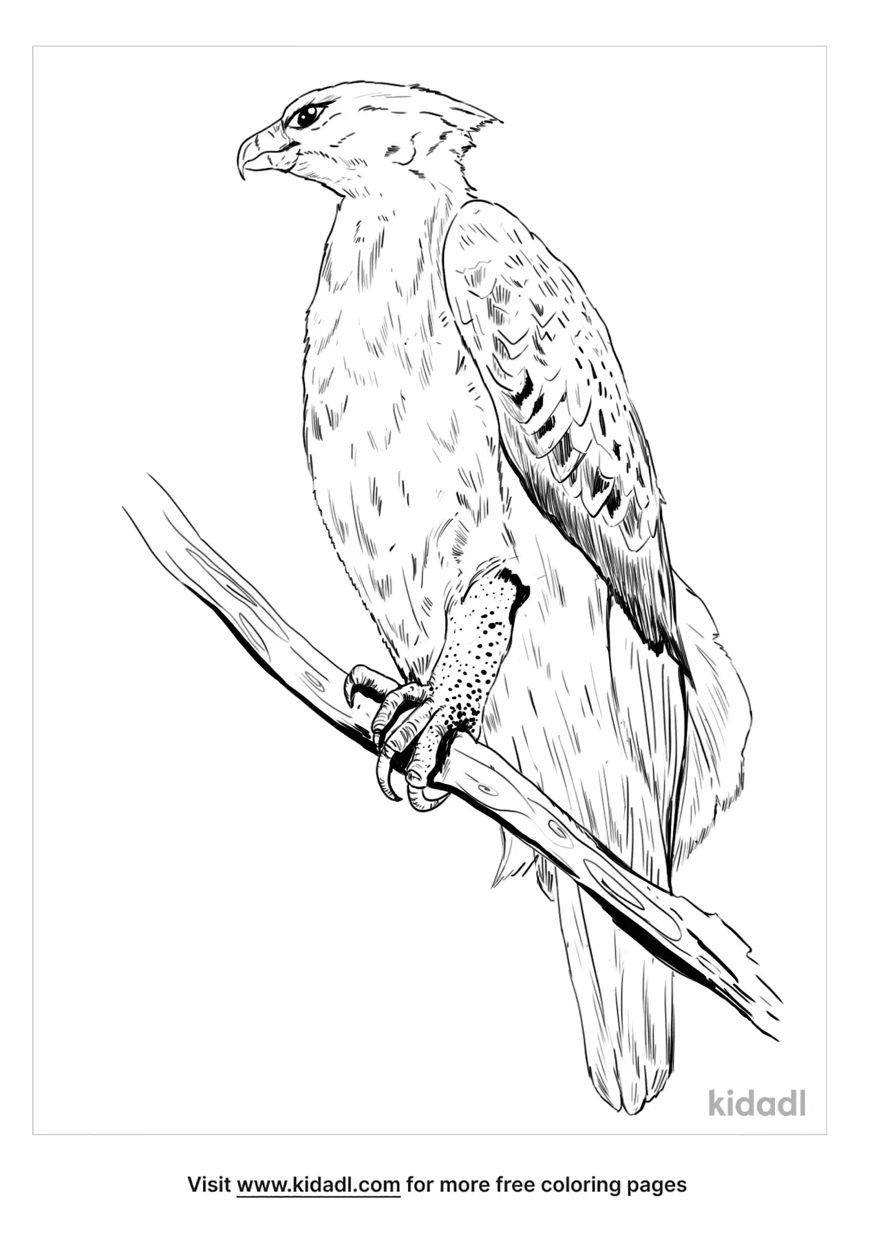 Eagle Coloring Page Printable # 146