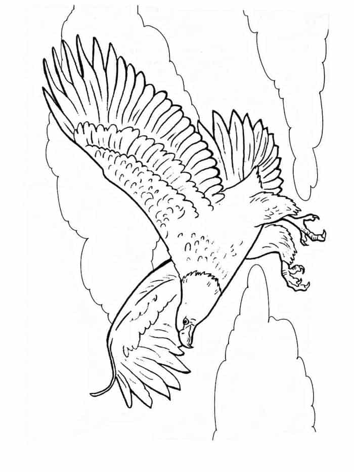 Eagle Coloring Page Printable # 166