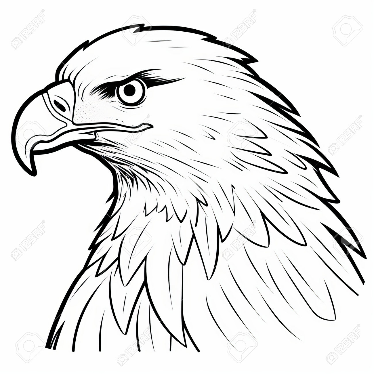 Eagle Coloring Page Printable # 169