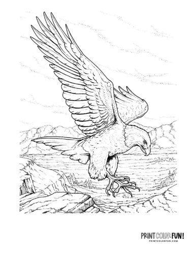 Eagle Coloring Page Printable # 172