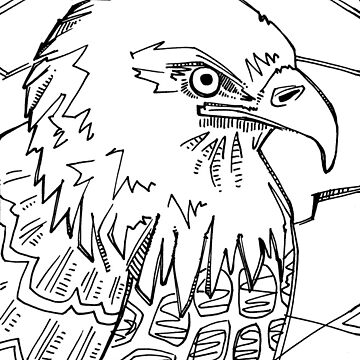 Eagle Coloring Page Printable # 177