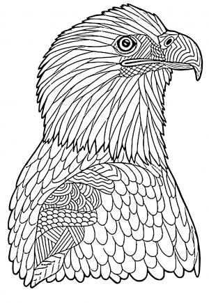 Eagle Coloring Page Printable # 186