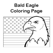 Eagle Coloring Page Printable # 193