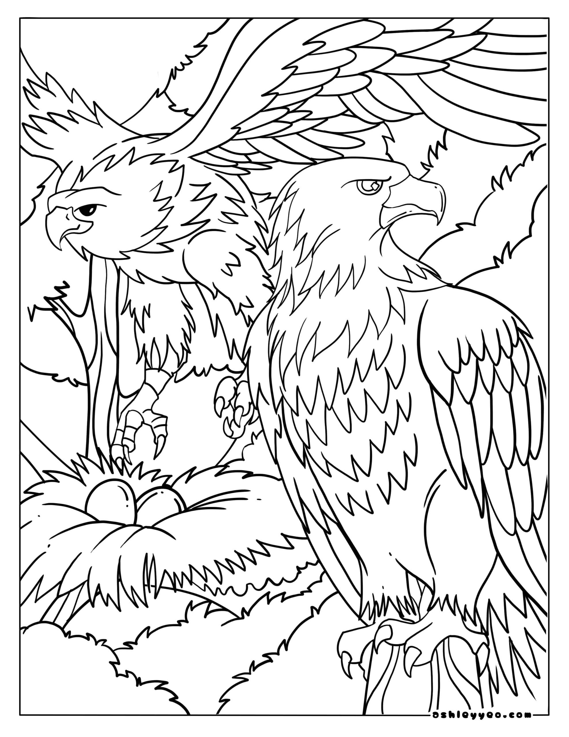 Eagle Coloring Page Printable # 196