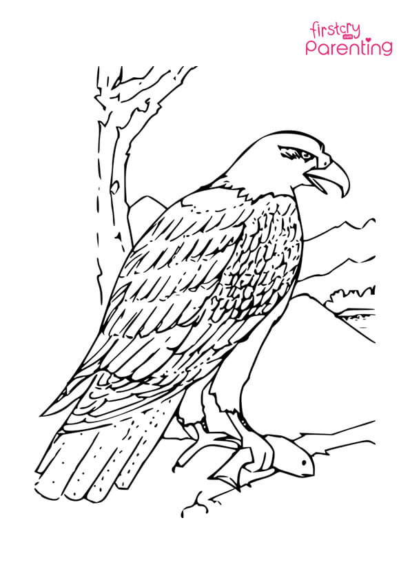 Eagle Coloring Page Printable # 202