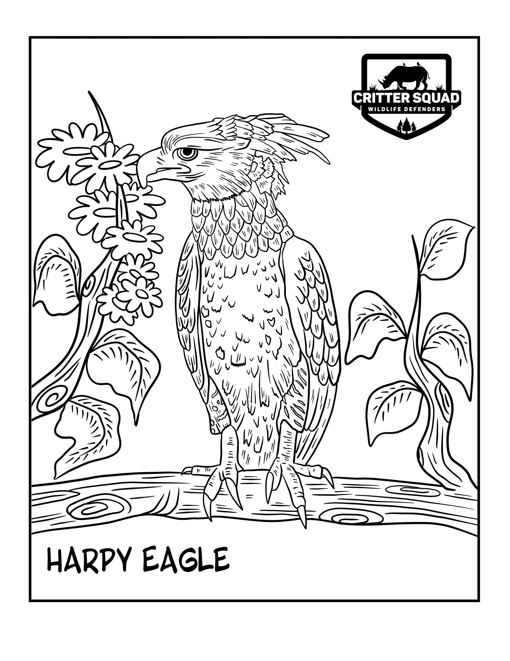 Eagle Coloring Page Printable # 205