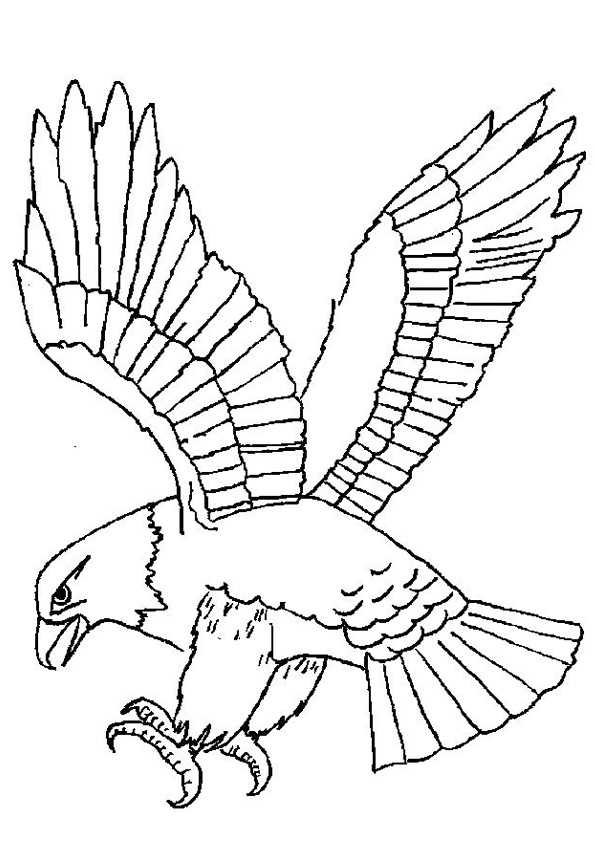 Eagle Coloring Page Printable # 212