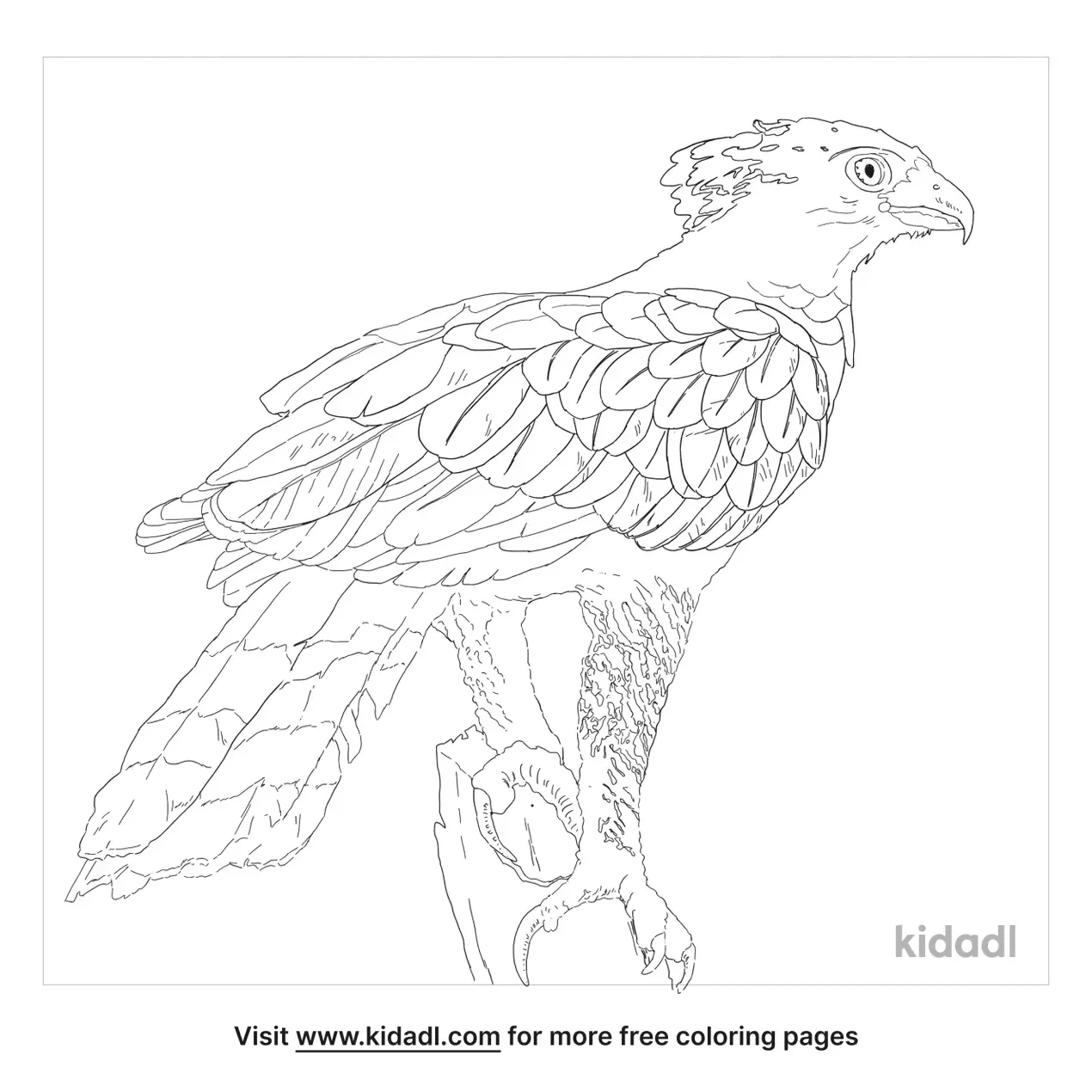 Eagle Coloring Page Printable # 216