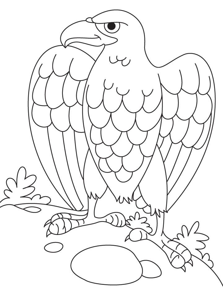 Eagle Coloring Page Printable # 28