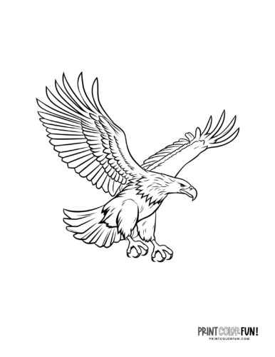 Eagle Coloring Page Printable # 29