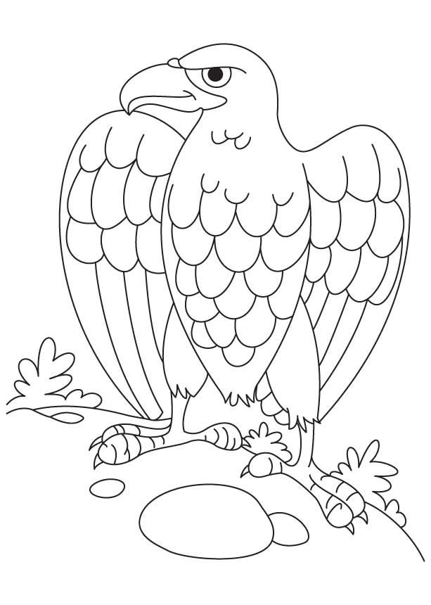 Eagle Coloring Page Printable # 47