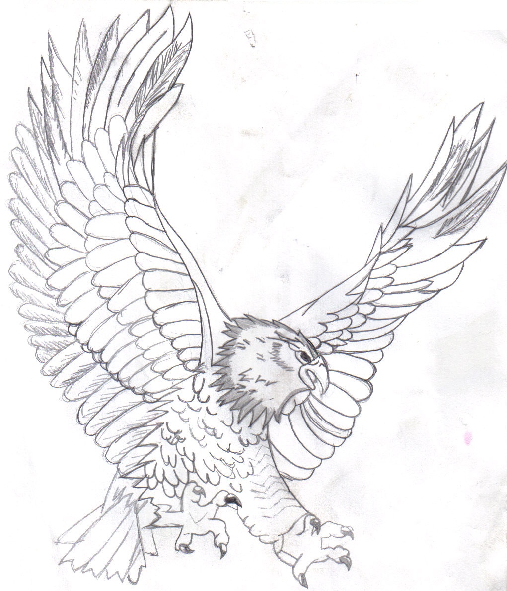 Eagle Coloring Page Printable # 54