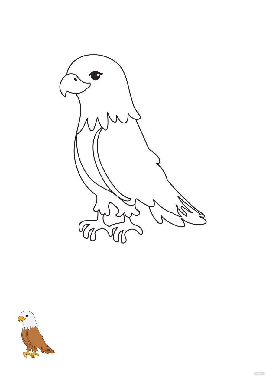 Eagle Coloring Page Printable # 61