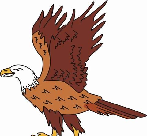 Eagle Coloring Page Printable # 62