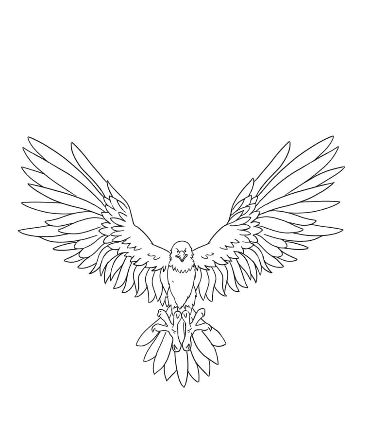 Eagle Coloring Page Printable # 70