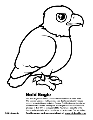 Eagle Coloring Page Printable # 71