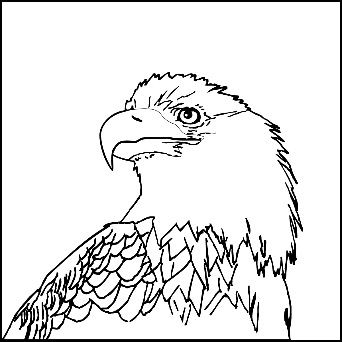 Eagle Coloring Page Printable # 75