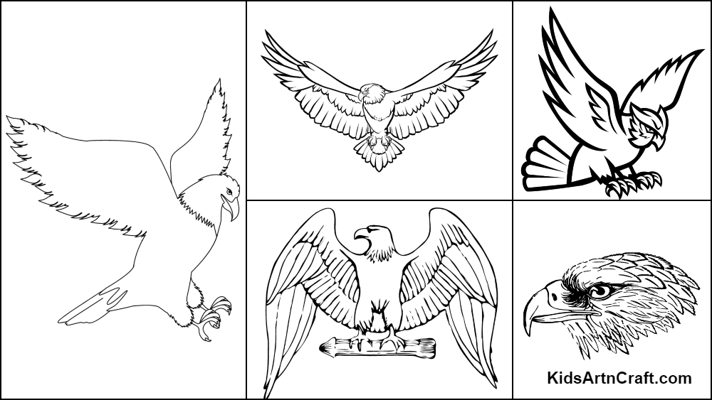 Eagle Coloring Page Printable # 76