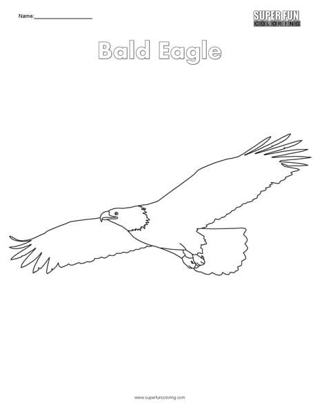 Eagle Coloring Page Printable # 77