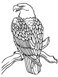 Eagle Coloring Page Printable # 81