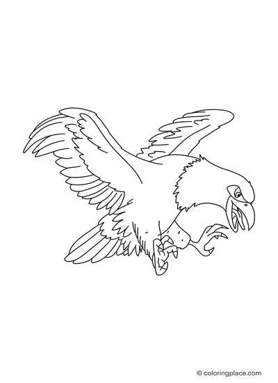 Eagle Coloring Page Printable # 90