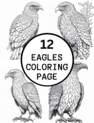 Eagle Coloring Page Printable # 92