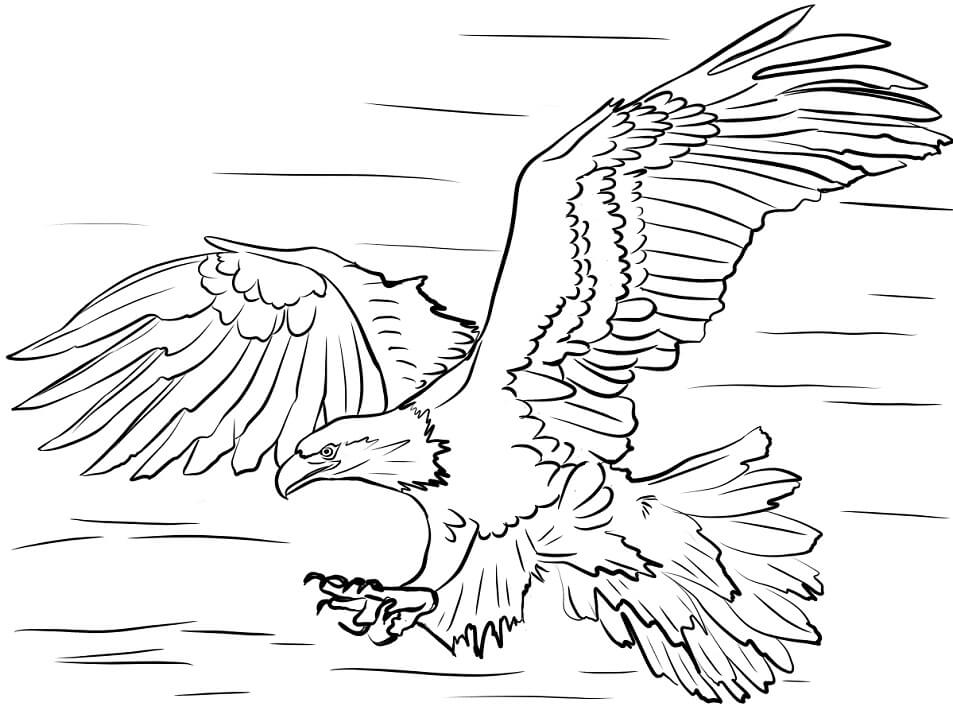 Eagle Coloring Page Printable # 93