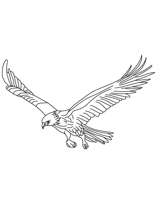 Eagle Coloring Page Printable # 94